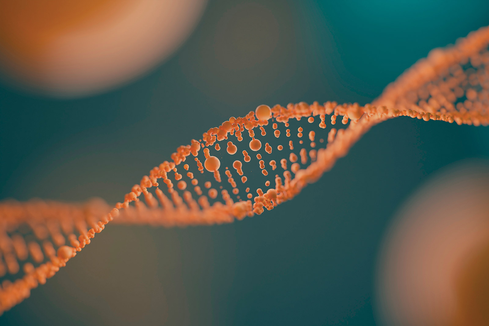 genes vistos de cerca