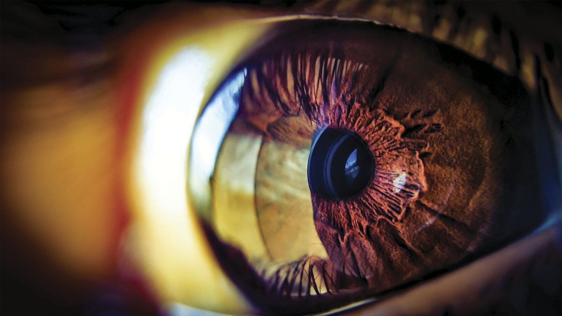 Ojo humano color café en primer plano