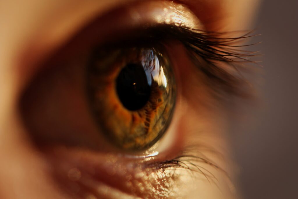 Ojo de mujer visto a detalle. Se pueden apreciar partes del ojo como córnea, iris, pestañas y partes del párpado