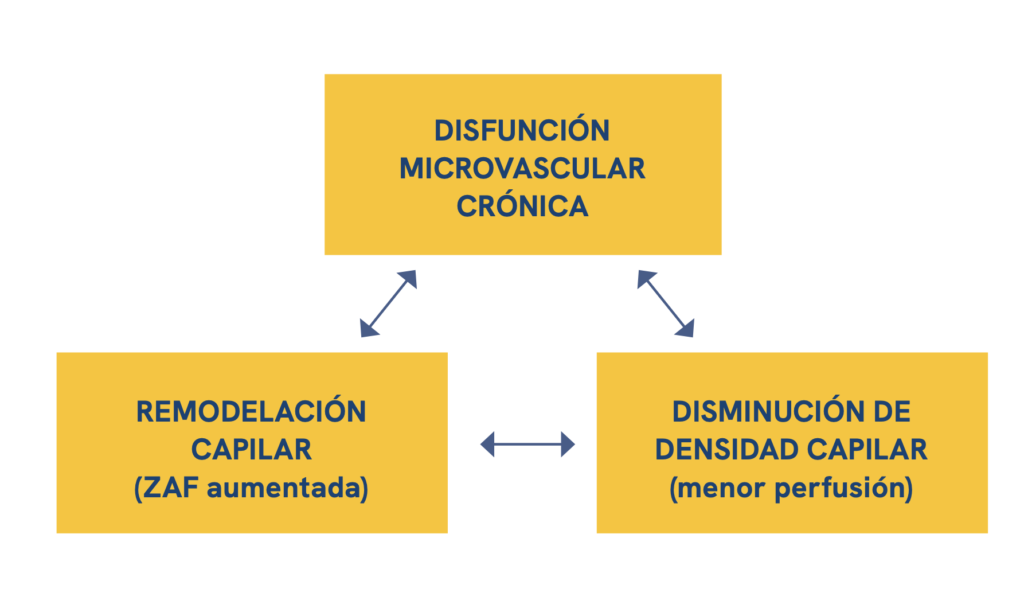 Microvascular changes in the macular area