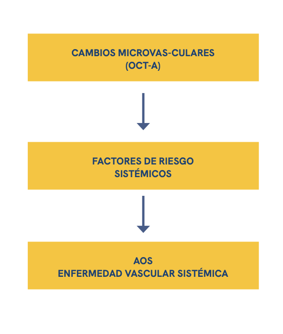 Discusión: la retina como espejo de la hipoxia intermitente
